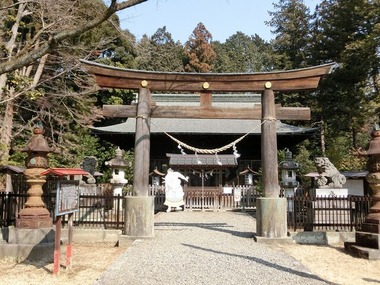 Gamo_Jinja