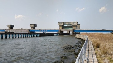 29151602_s