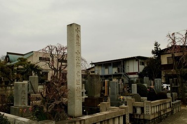DSCF7586