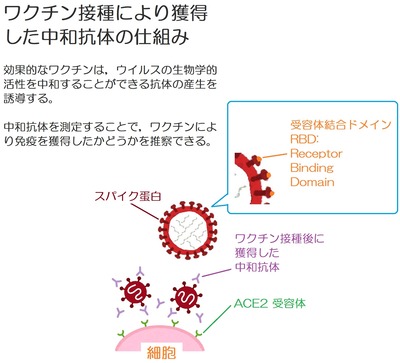 五十嵐内科 仙台市宮城野区福室 内科 呼吸器内科 循環器内科 ブログ 院長 診療カレンダー 健康寿命をのばしましょう。 カラダも,ココロも,社会的にも健康に。 生活習慣病 高血圧症 糖尿病 脂質異常症 高尿酸血症 痛風 かぜ インフルエンザ 気管支喘息 咳喘息 アレルギー性鼻炎 花粉症 片頭痛 脱水症 熱中症 便秘症 急性胃腸炎 感染性腸炎 機能性胃腸症 過敏性腸症候群 じんましん 帯状疱疹 口内炎 口唇ヘルペス 漢方治療 不眠症 鉄欠乏性貧血 亜鉛欠乏症 膀胱炎 更年期障害 自律神経失調症 めまい 予防接種 各種ワクチン 健康診断 企業健診 仙台市特定健診 仙台市基礎健診 各種診断書 にんにく注射 プラセンタ注射 プラセンタサプリメント AGA治療 男性型脱毛症 ED治療 勃起不全 舌下免疫療法 シダキュア ミティキュア 新型コロナウイルス 新型コロナワクチン PCR検査(だ液) 保険適用 中和抗体検査 宮城県 診療・検査医療機関 産業医 禁煙外来 血圧手帳 手作り 無料 ダウンロード