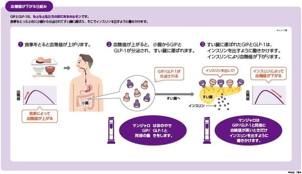 五十嵐内科 仙台市宮城野区福室 内科 呼吸器内科 循環器内科 生活習慣病 健康寿命をのばしましょう。 カラダも,ココロも,社会的にも健康に。 院長 生活習慣病 高血圧症 糖尿病 脂質異常症 高尿酸血症 痛風 かぜ インフルエンザワクチン 気管支喘息 咳喘息 アレルギー性鼻炎 花粉症 片頭痛 脱水症 熱中症 便秘症 急性胃腸炎 感染性腸炎 機能性胃腸症 過敏性腸症候群 じんましん 帯状疱疹 口内炎 口唇ヘルペス 漢方治療 不眠症 鉄欠乏性貧血 亜鉛欠乏症 膀胱炎 更年期障害 自律神経失調症 めまい 予防接種 各種ワクチン 健康診断 企業健診 仙台市特定健診 仙台市基礎健診 各種診断書 にんにく注射 プラセンタ注射 プラセンタサプリメント AGA治療 男性型脱毛症治療 ED治療 勃起不全治療 舌下免疫療法 シダキュア 産業医 禁煙外来 6種類の手作り血圧手帳 無料ダウンロード 宮城県 診療・検査医療機関 発熱外来 おすすめ 新型コロナウイルス COVID-19 PCR検査 抗原検査 中和抗体検査 オンライン診療 クレジットカード決済 睡眠時無呼吸症候群治療 おすすめ 簡易検査 酸素飽和度 精密検査 PSG検査 終夜睡眠ポリグラフ検査 CPAP治療 持続陽圧呼吸療法 いびき治療 おすすめ マンジャロ GIP/GLP-1作動薬 導入 注射可