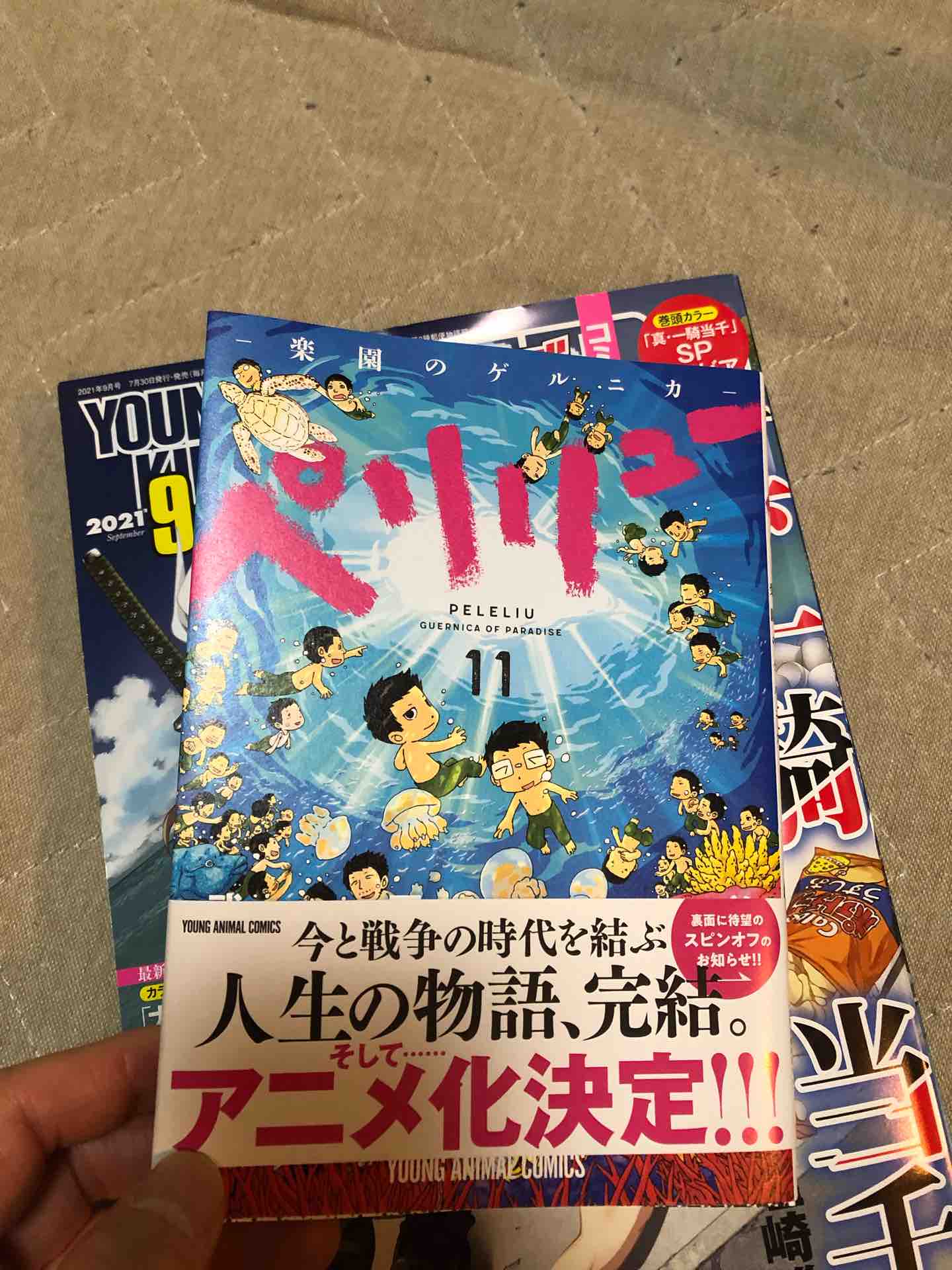 楽園のゲルニカ ペリリュー 完結 ほっかいどう はぐれ雲 おじさん日記 楽園のゲルニカ ペリリュー 完結 ほっかいどう はぐれ雲 おじさん日記