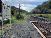 IMG_4209