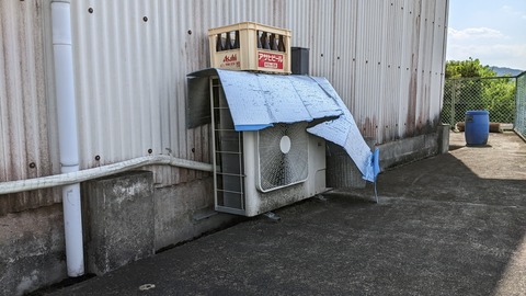 PXL_20220803_053549844