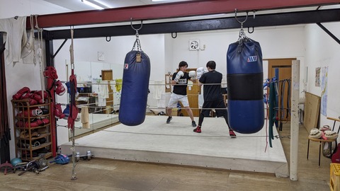 PXL_20210113_101803472