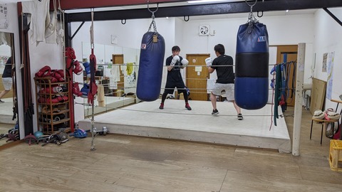 PXL_20210113_102045331