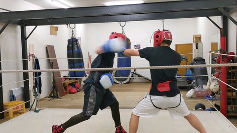 PXL_20211115_095601658_pict