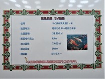 松見公園-5