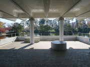 松見公園-19