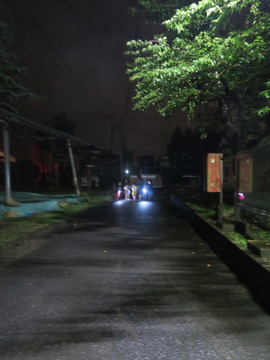 肝試し-1
