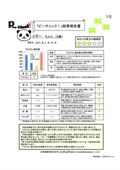 BlogPaint