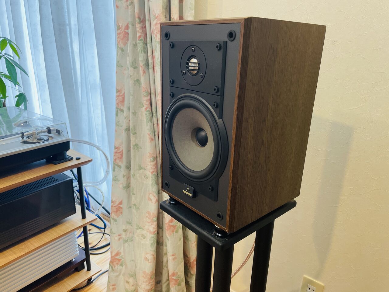 Celestion5 2度目の入手 : My Life My Like My Way