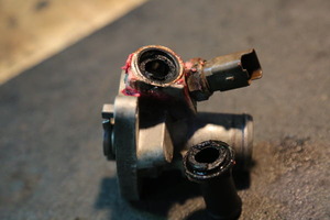 2F6A1575