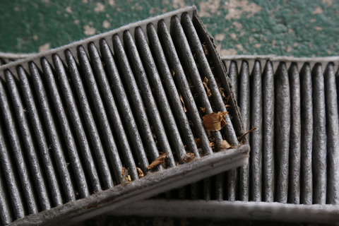2F6A2785