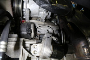 2F6A8146
