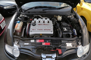 2F6A3239