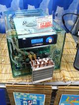 ea576a22.JPG