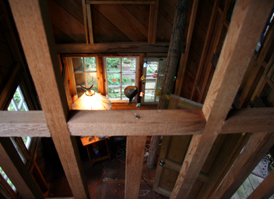 treehouse015