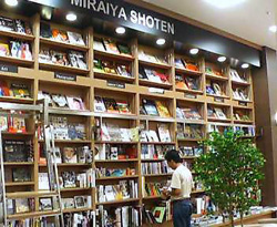 �����ܲ�