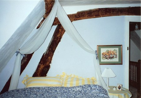 ����΢������