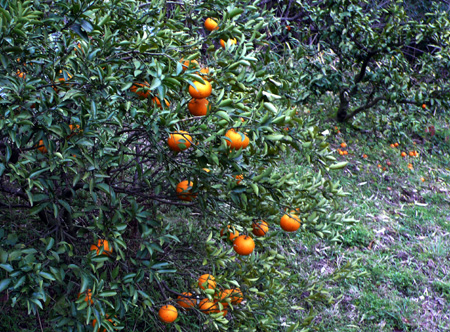 Τ������