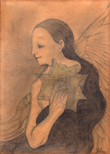 �����ȣ�