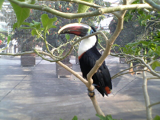 �����ϥ�