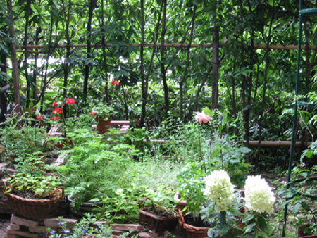 �����ǥ�