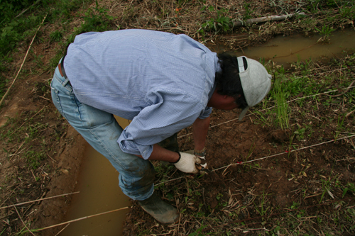 �Ŀ�����