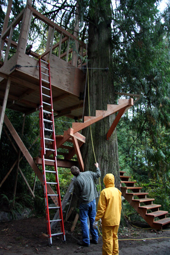 treehouse46