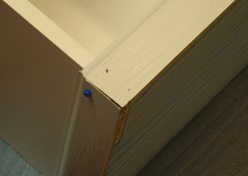 ���顼�ܥå������ݣ�