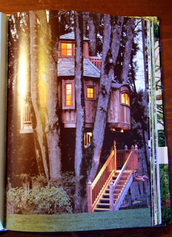 �ĥ꡼�ϥ�����