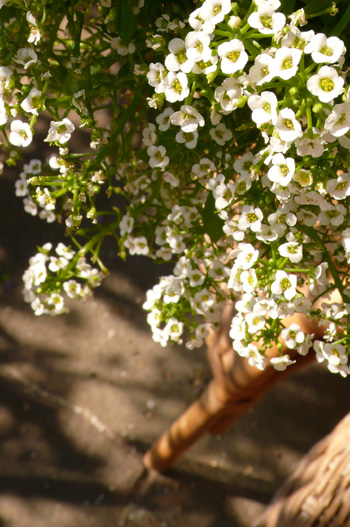 ����å���