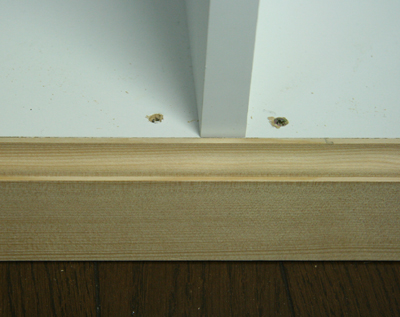 ���顼�ܥå������ݣ�