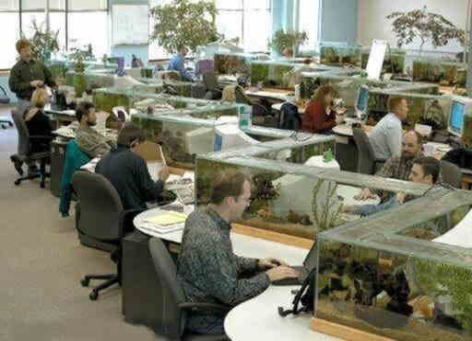 ���奪�ե���