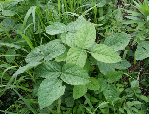 �Ŀ�����