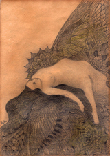 �����ȣ�