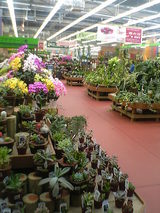 �����ǥ�����