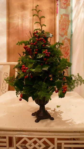 �ĥ꡼����