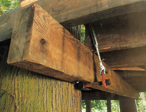 �ĥ꡼�ϥ�����