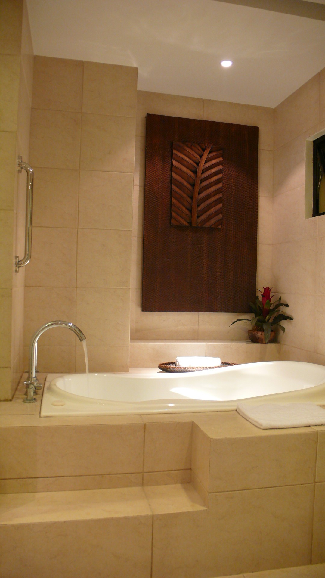 �Х�����