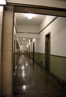 �����ӥ룵