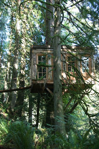 treehouse8