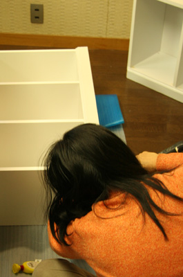 ���顼�ܥå������ݣ�