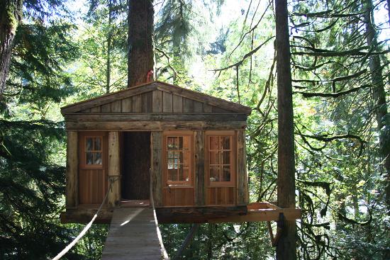 treehouse5