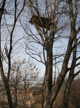 Τ������