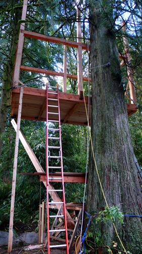 treehouse47