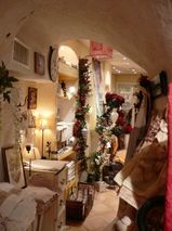 �������Ź��