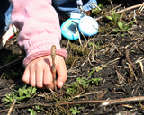 �Ĥ�����