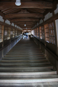 ��ʿ����